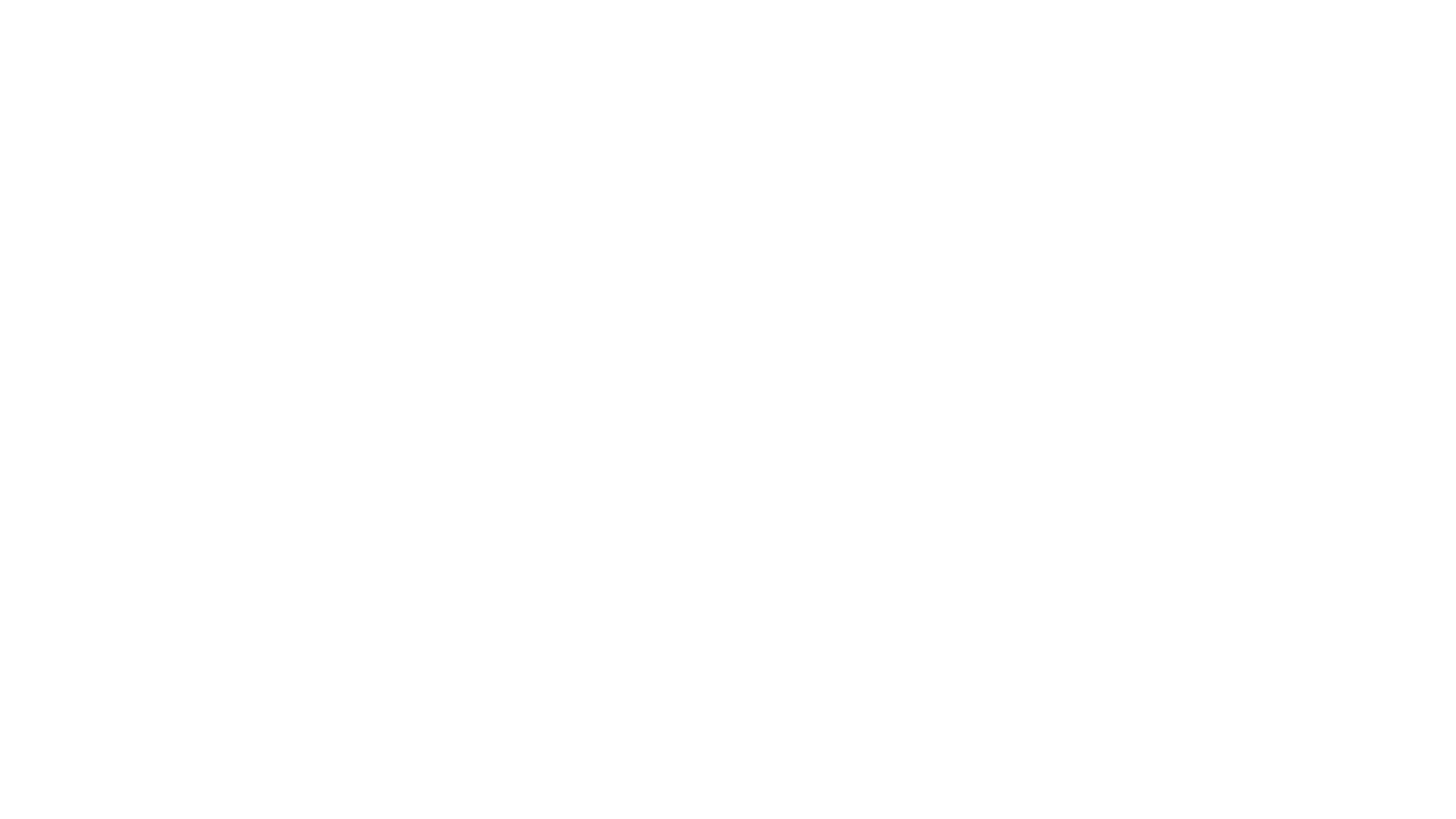 FINDSTEVE Logo